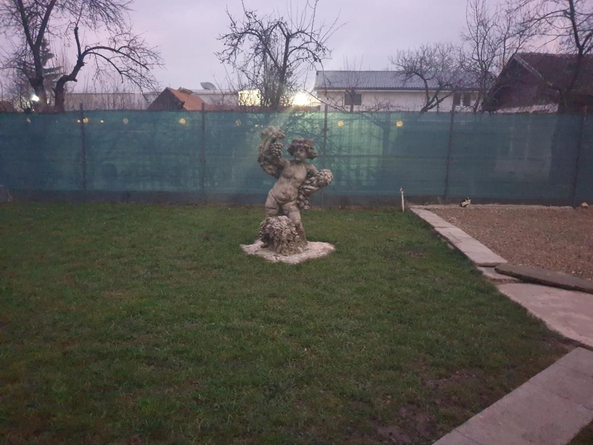 Vila Dionysos Brasov Ghimbav Luaran gambar