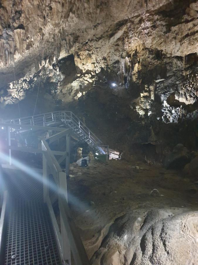 Vila Dionysos Brasov Ghimbav Luaran gambar