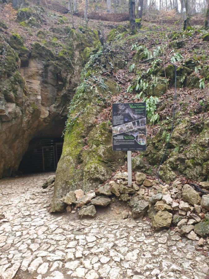 Vila Dionysos Brasov Ghimbav Luaran gambar
