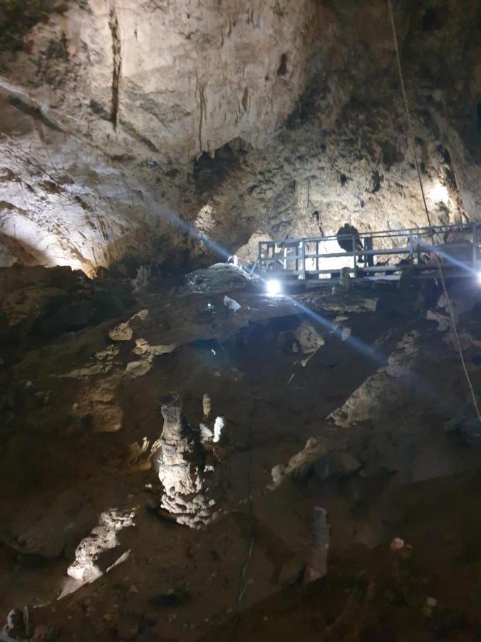 Vila Dionysos Brasov Ghimbav Luaran gambar