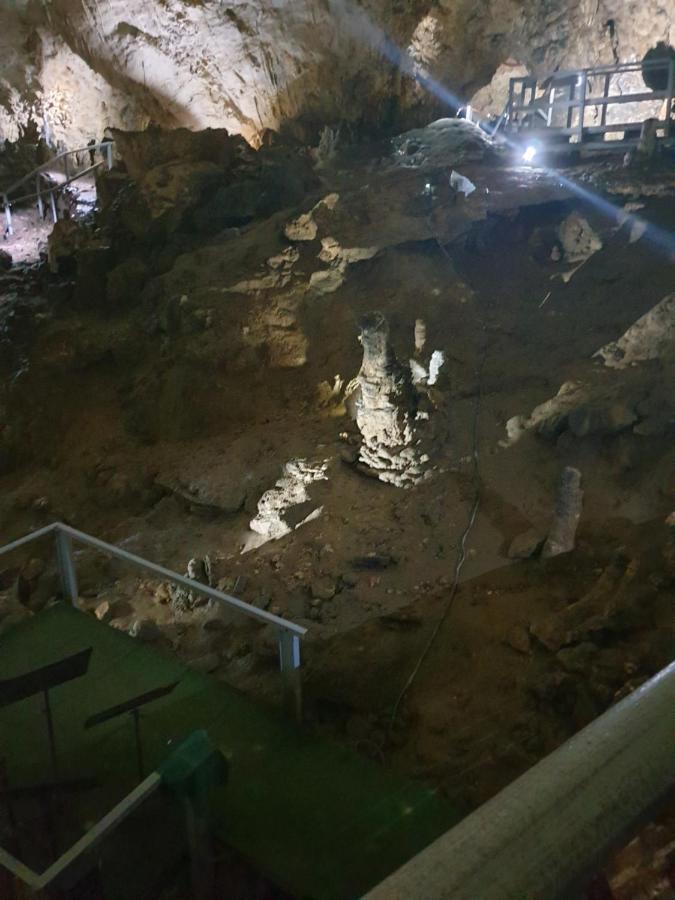 Vila Dionysos Brasov Ghimbav Luaran gambar