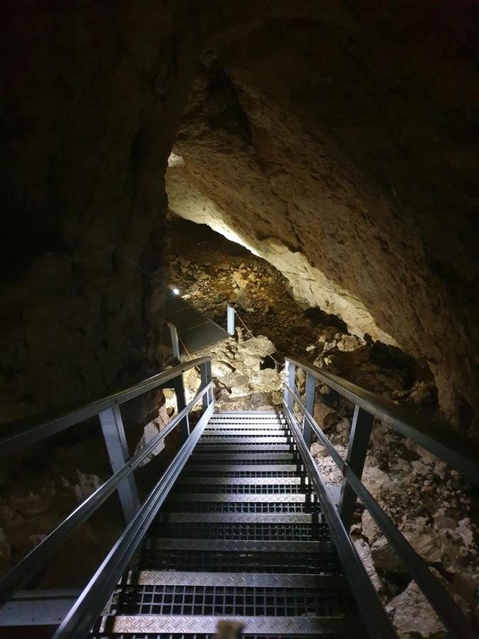 Vila Dionysos Brasov Ghimbav Luaran gambar
