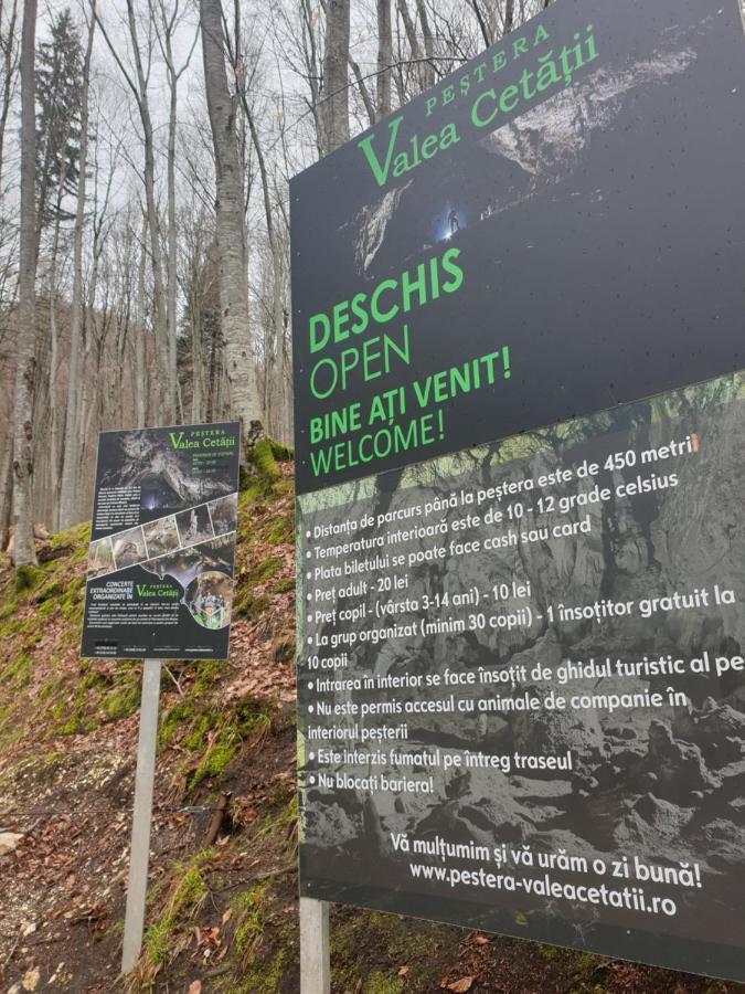 Vila Dionysos Brasov Ghimbav Luaran gambar