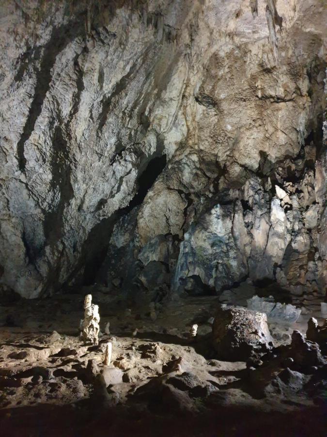 Vila Dionysos Brasov Ghimbav Luaran gambar